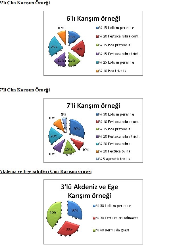 çim karışım örnekleri